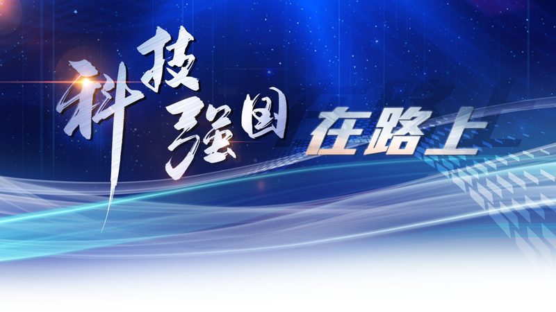 智能客服系统故障排查：常见问题与解决策略